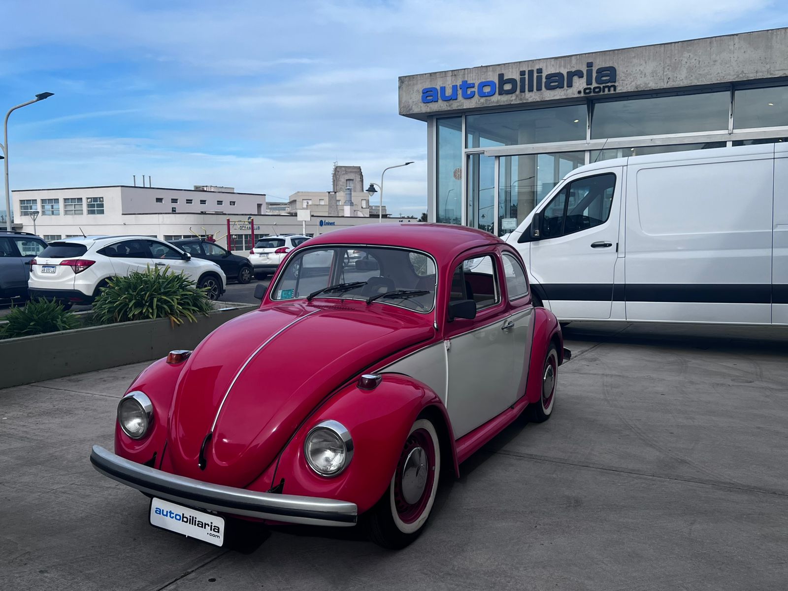 Volkswagen The Beetle